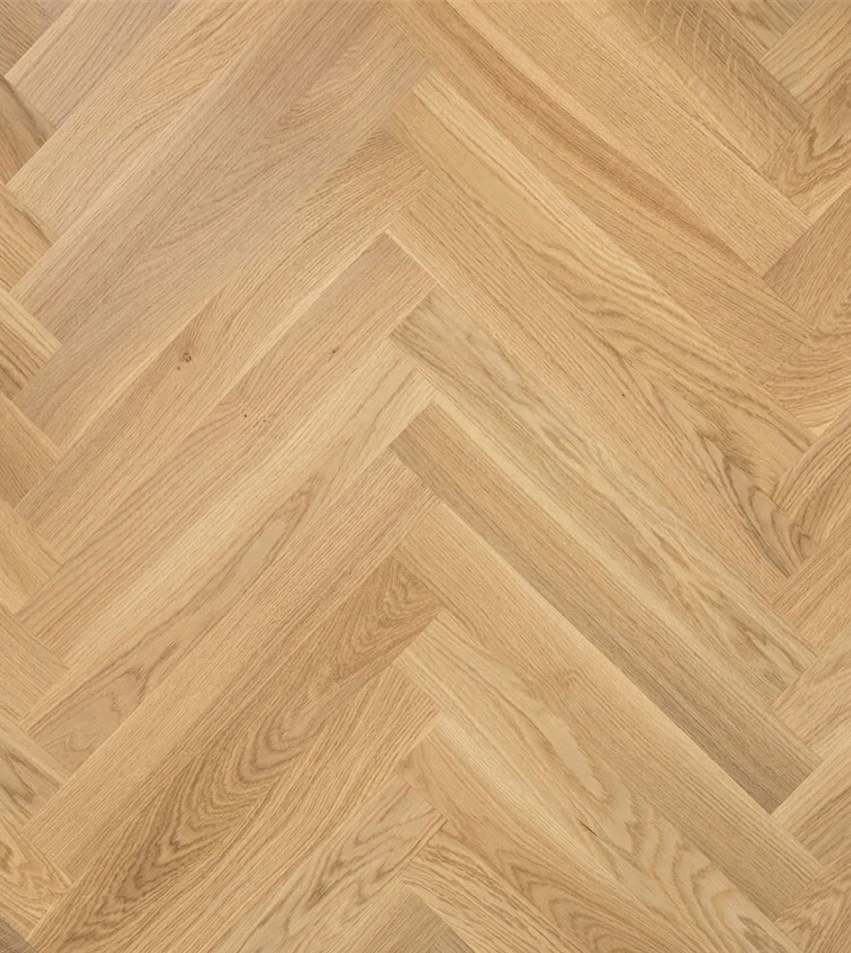 Lamel sildebensparket Natur