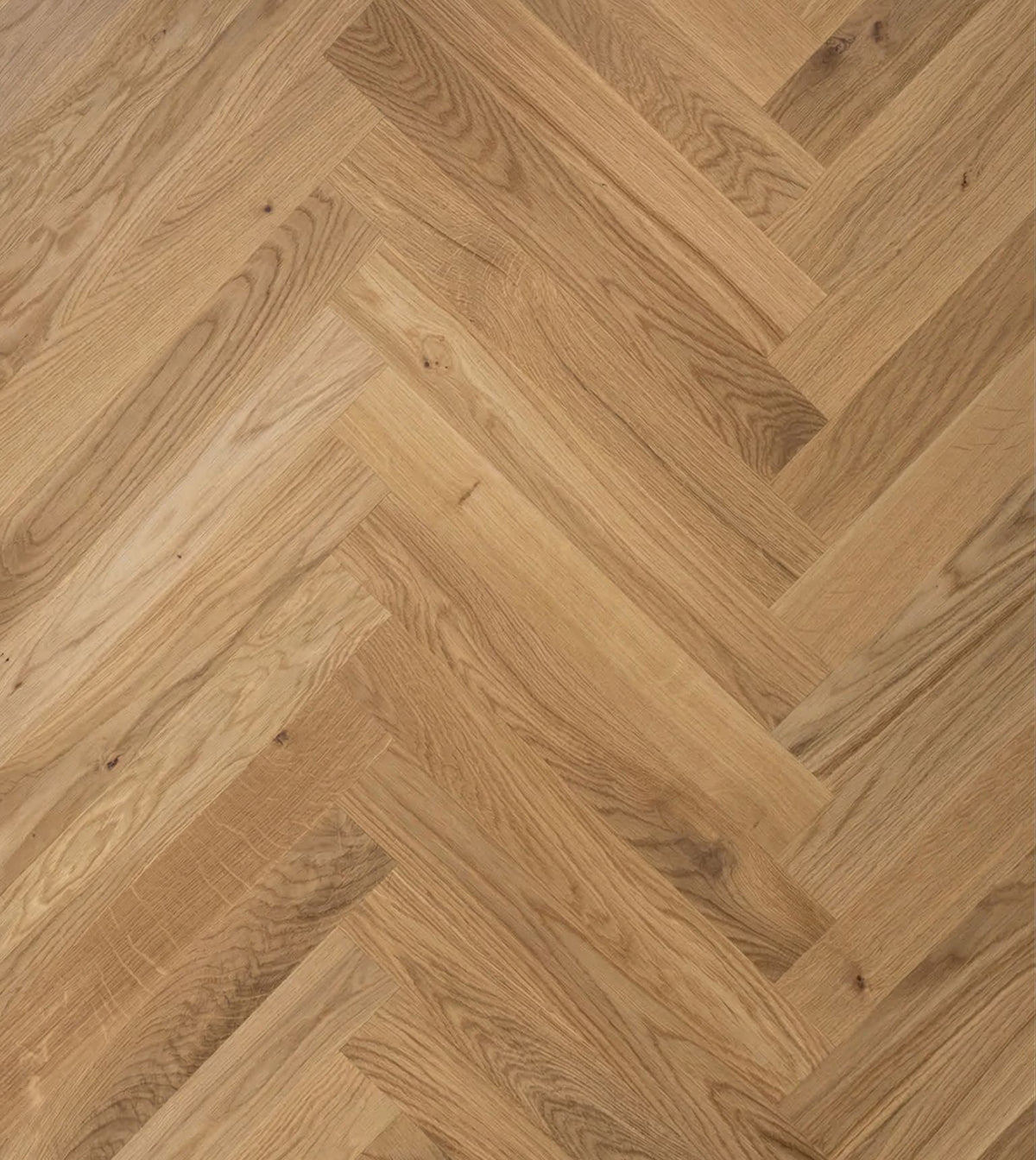 Lamel sildebensparket Standard